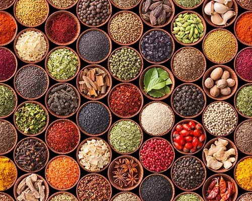 Agro & Food Products